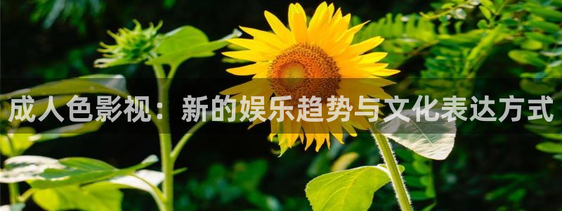 紅葉影視官網(wǎng)：成人色影視：新的娛樂趨勢與文化表達(dá)方式
