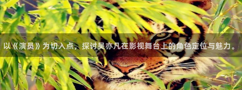 紅葉影視下載app官方下載：以《演員》為切入點(diǎn)，探討吳亦凡在影視舞臺(tái)上的角色定位與魅力。