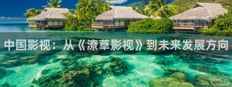 紅葉影視：中國(guó)影視：從《潦草影視》到未來(lái)發(fā)展方向