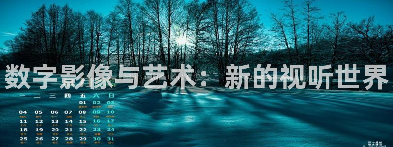 六安紅葉影城今日影訊：數字影像與藝術：新的視聽世界