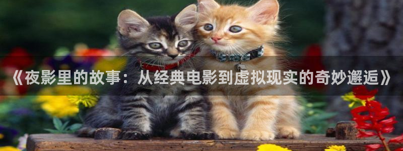 紅葉影城：《夜影里的故事：從經典電影到虛擬現實的奇妙邂逅》