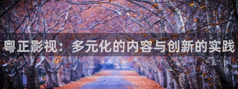 紅葉影視完整版：粵正影視：多元化的內容與創新的實踐