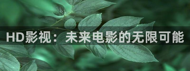 紅葉電影院今日影訊：HD影視：未來電影的無限可能